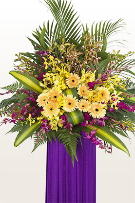 Reach For The Stars!