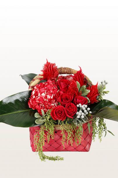 Red-y, Green Set, Go!