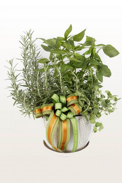 Basil Is Two-Thyming Rose