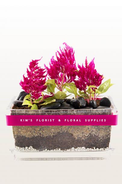 Root-ing For Flowers