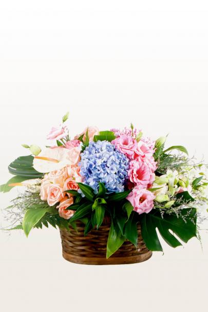 The Not So Secret Garden