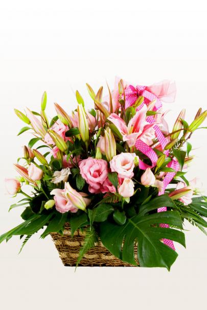 Promises, Promises Pink