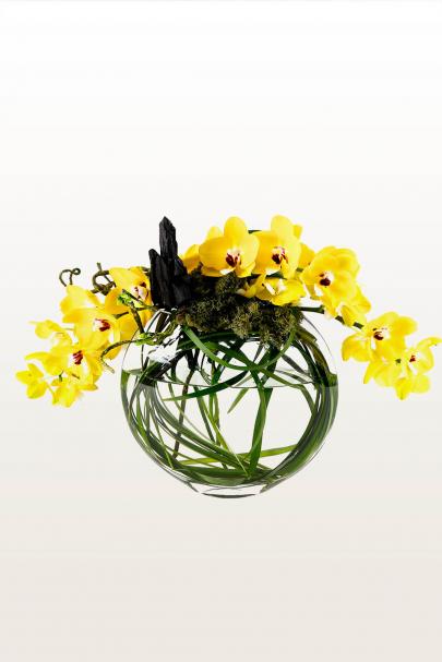 The Yellow Brick Road