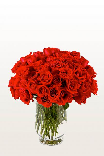 Wanted...Red & Alive