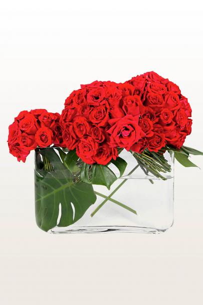 Her Most Honourable Red