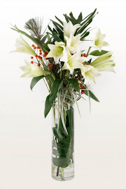 I Lily, Lily Love You 2.0