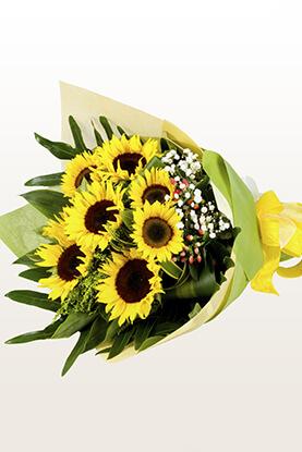 You Are My Sunshine, My Only Sunshine