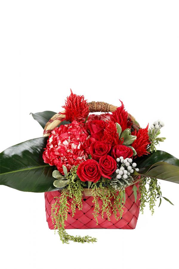 Red-y, Green Set, Go!