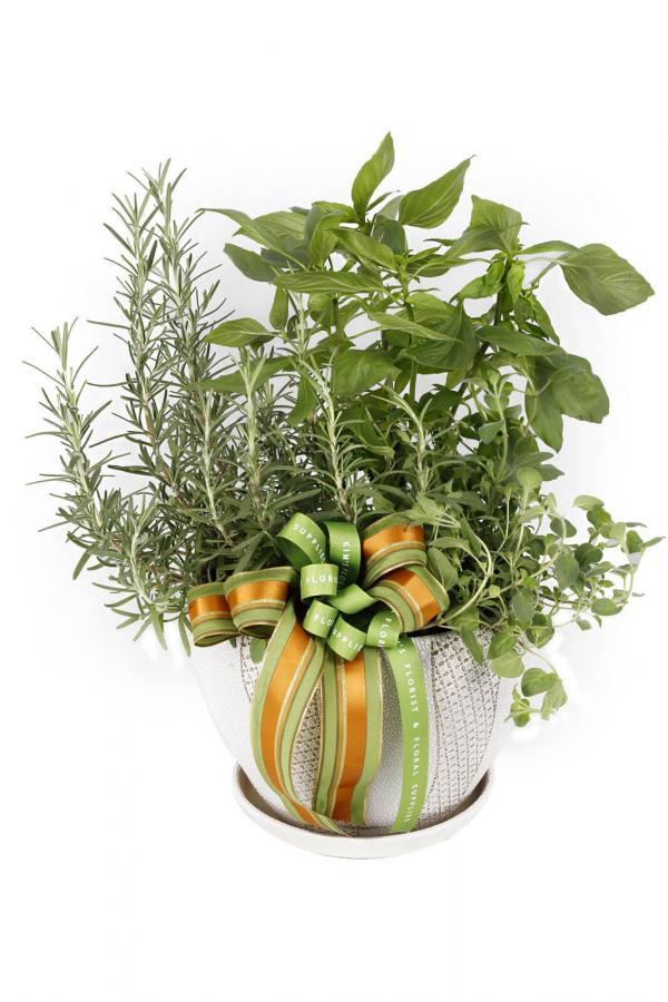 Basil Is Two-Thyming Rose