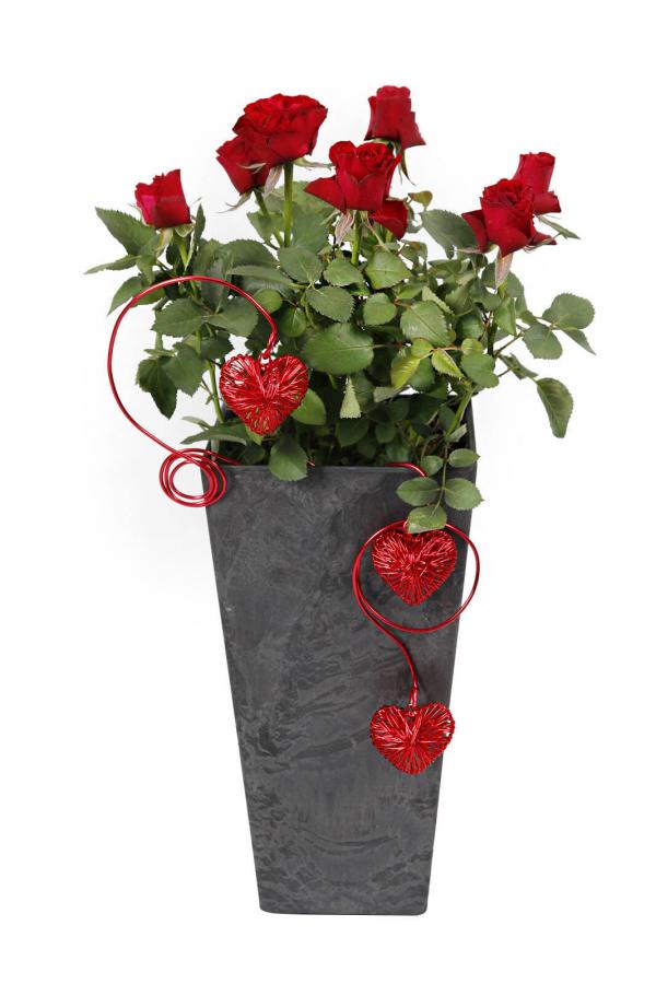 Plants Need Love, Too