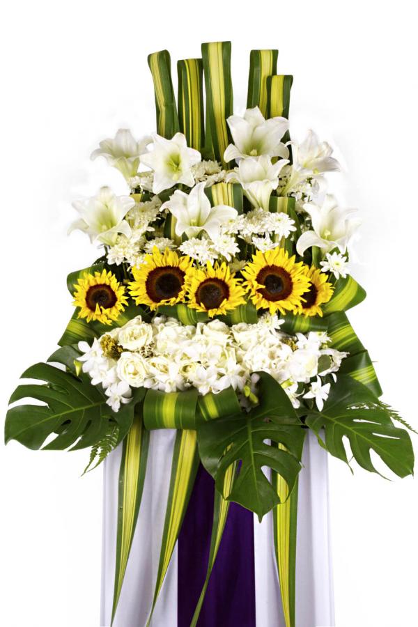 Everlasting Thoughts