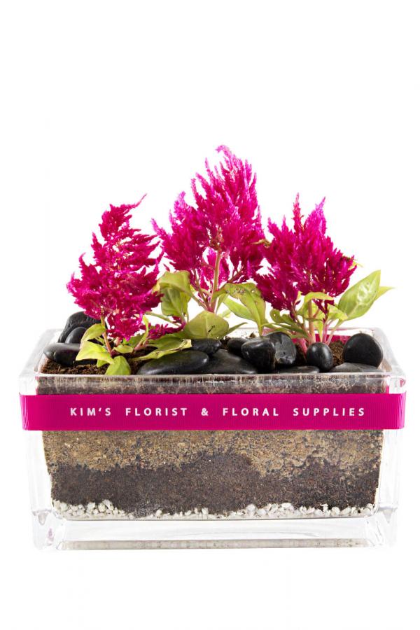 Root-ing For Flowers