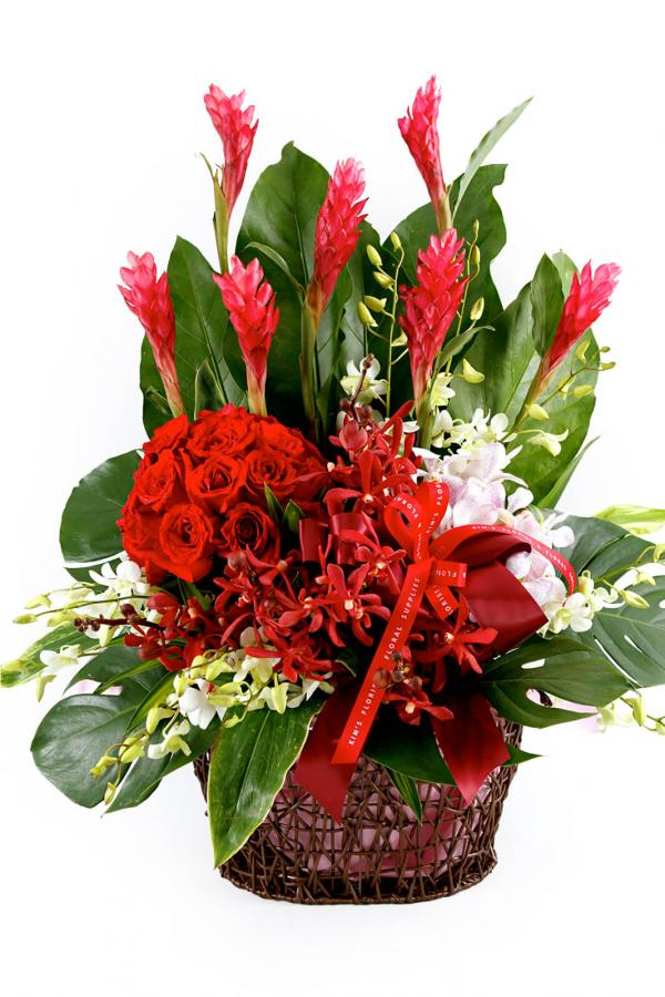 Red, Touched By White