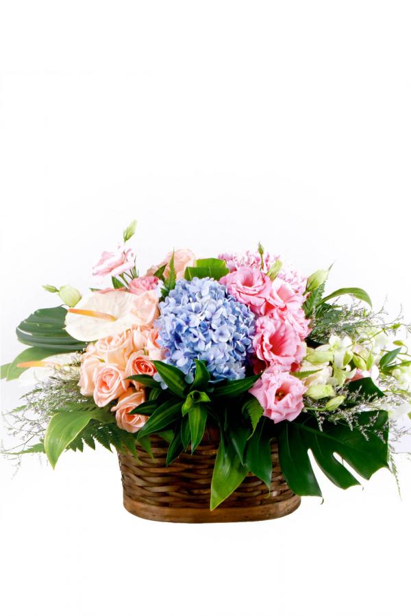 The Not So Secret Garden