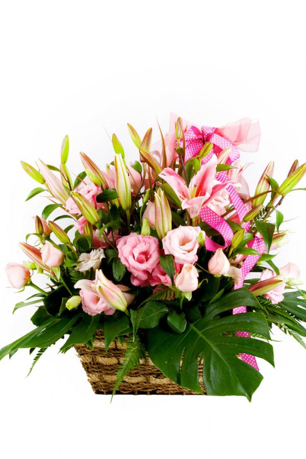 Promises, Promises Pink