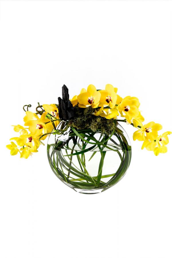 The Yellow Brick Road