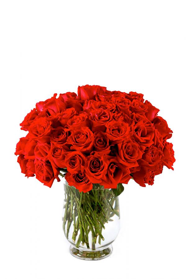 Wanted...Red & Alive