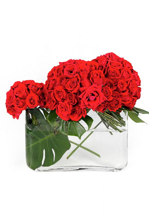 Her Most Honourable Red