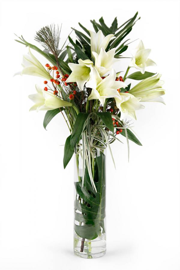 I Lily, Lily Love You 2.0