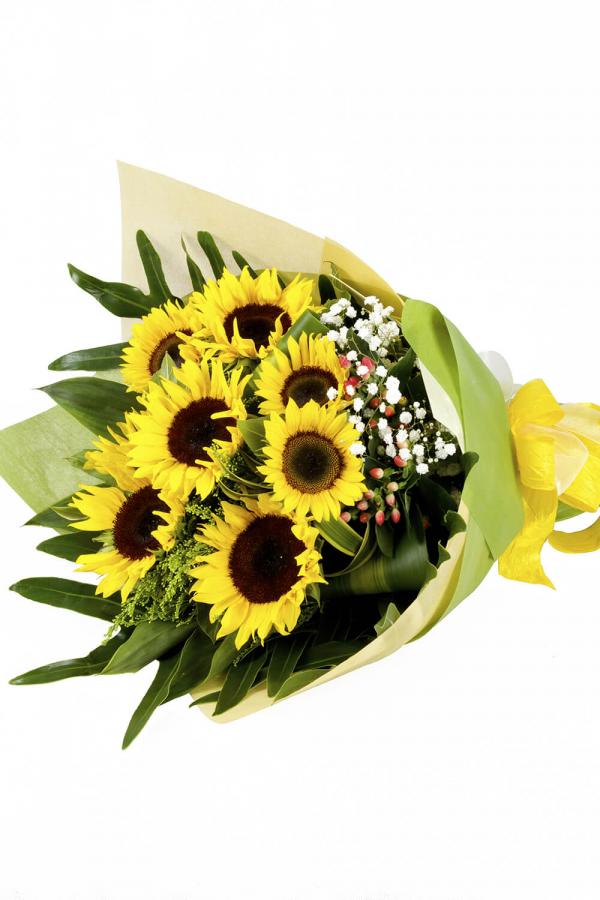 You Are My Sunshine, My Only Sunshine